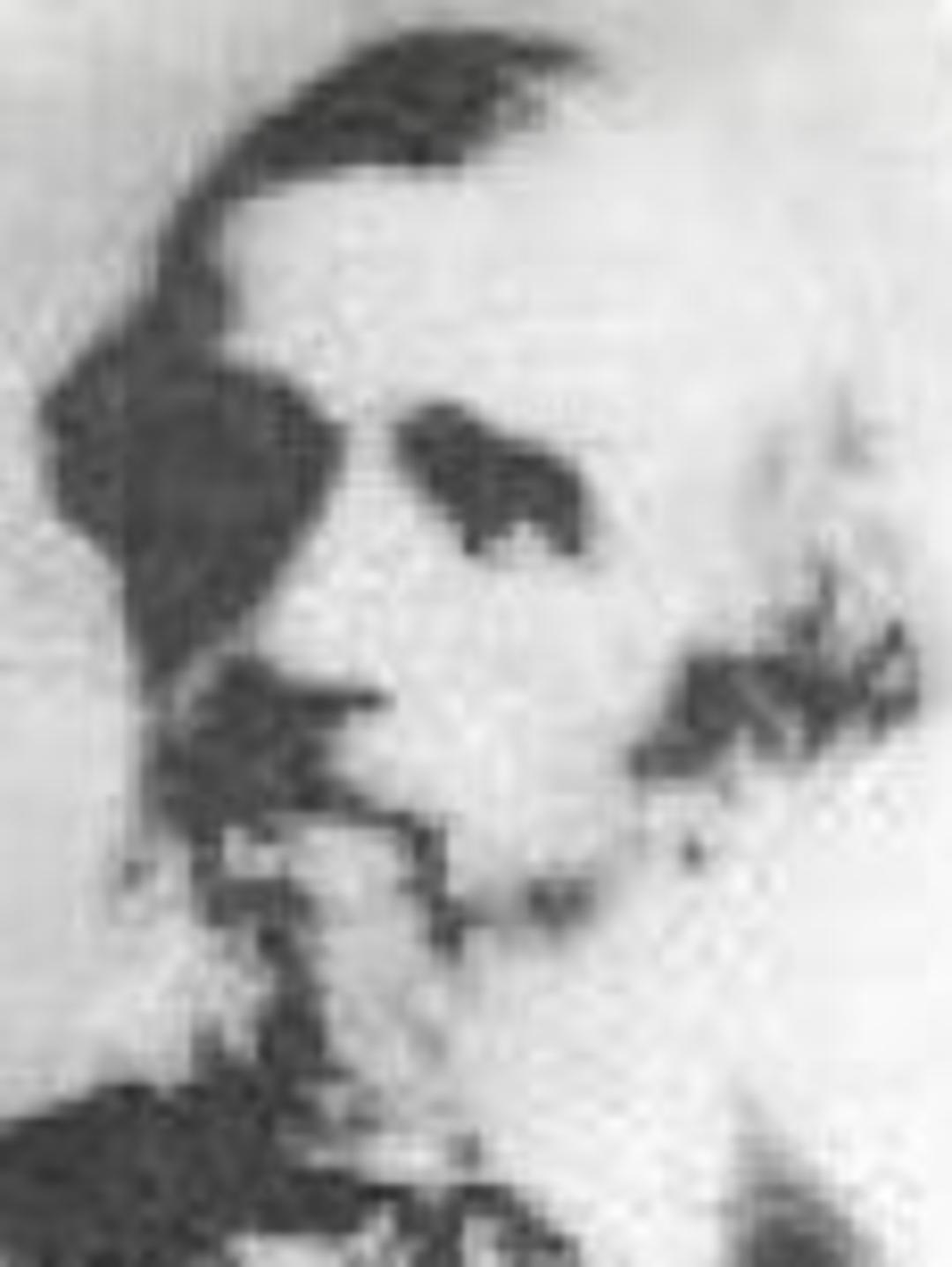 Jean Pierre Stalle (1803 - 1856) Profile